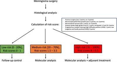 A prognostic model for tumor recurrence and progression after meningioma surgery: preselection for further molecular work-up